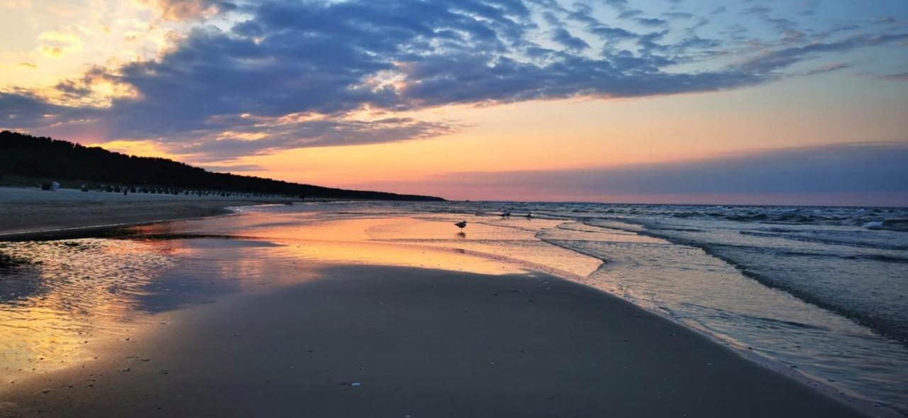 Apartment Ferienapartment Wellenreiter Insel Usedom